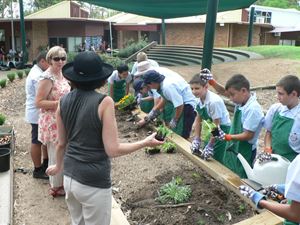 Vegetable Garden 002