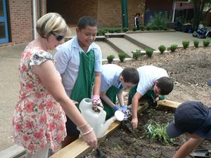 Vegetable Garden 003