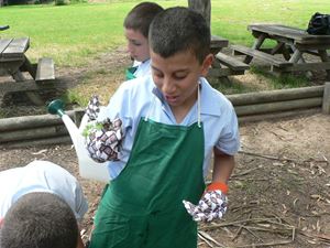 Vegetable Garden 008