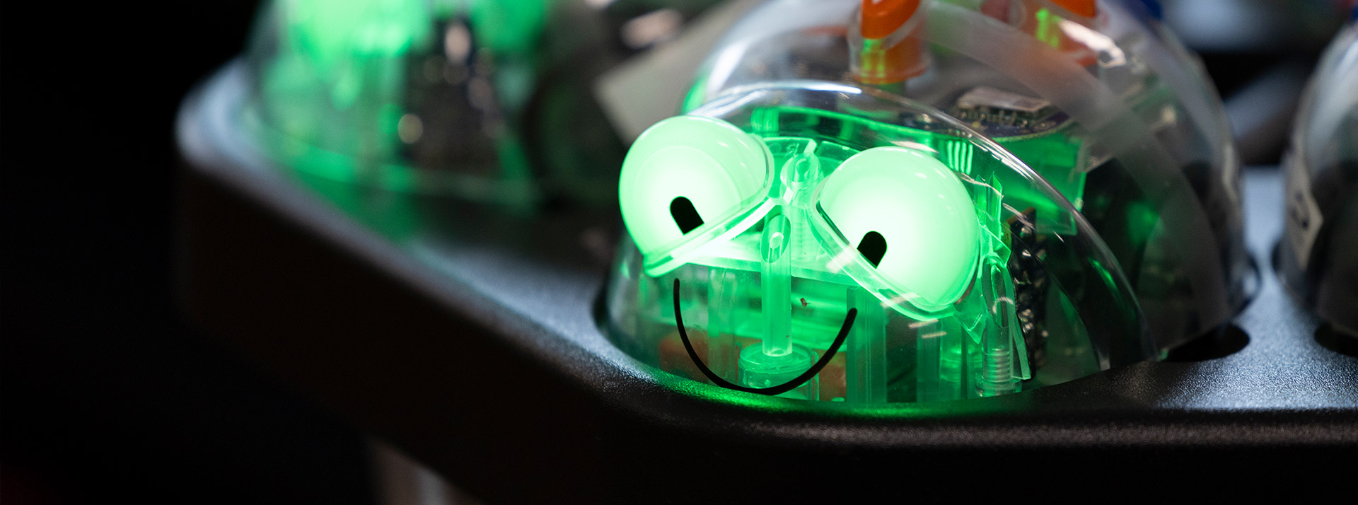 Toy at St John Vianney's Doonside