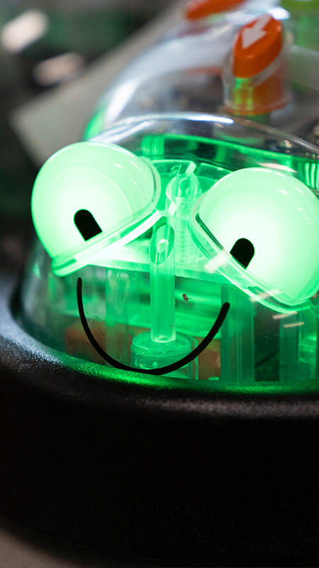 Toy at St John Vianney's Doonside