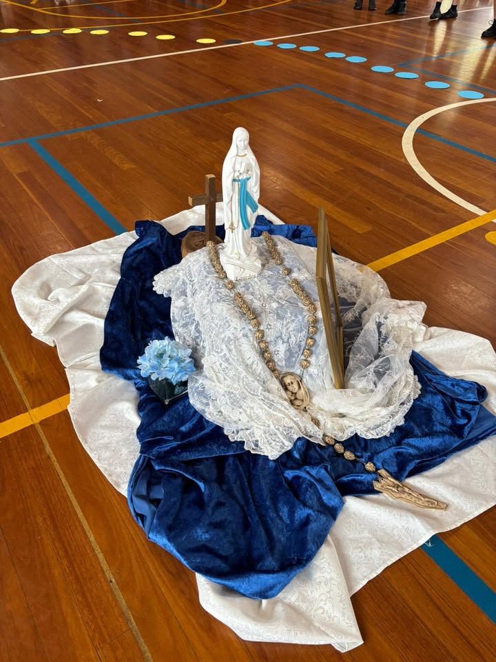 122118862082797568_122152646840797568-1