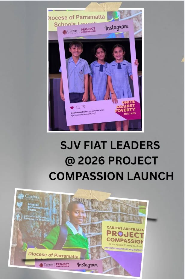 122118862082797568_122164951172797568-1