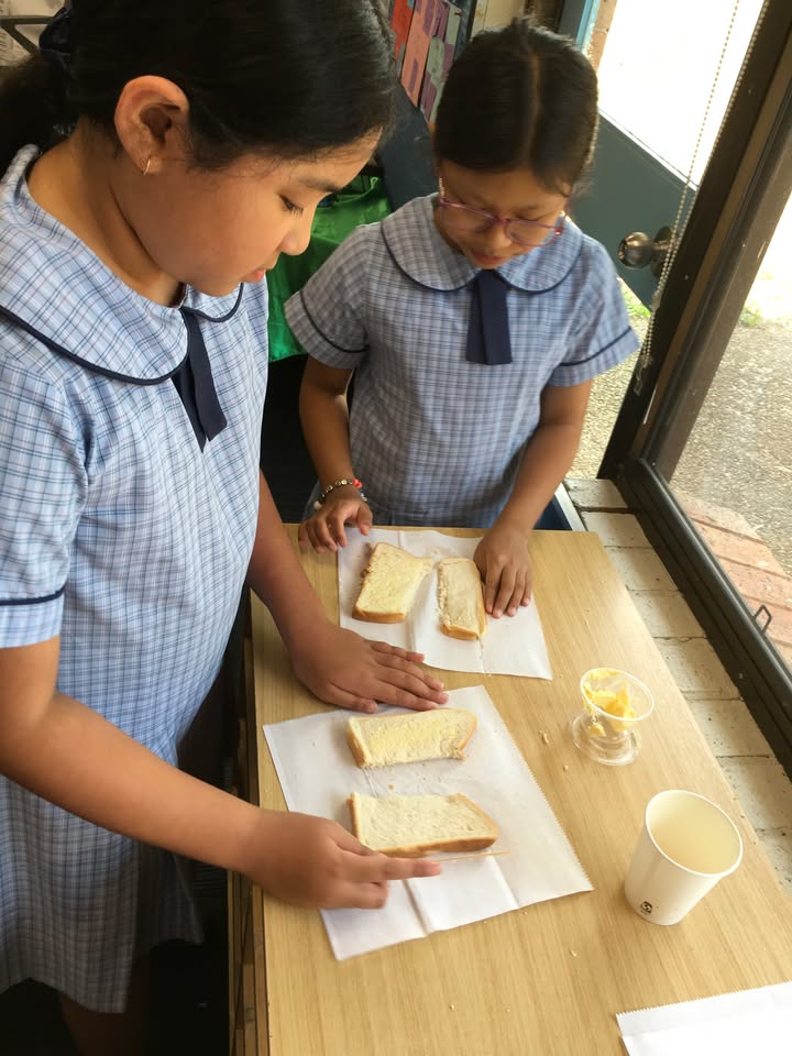 122118862082797568_122166480908797568-1