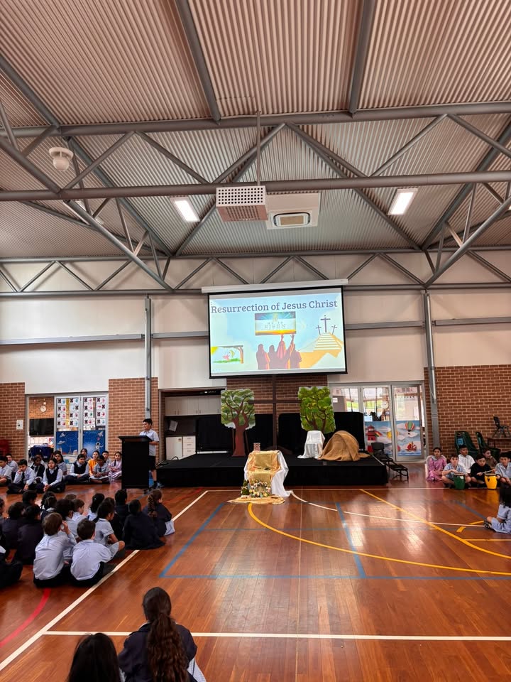 122118862082797568_122172796376797568-1